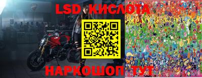 молекула духа Новозыбков