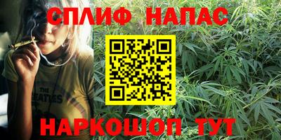 молекула духа Новозыбков