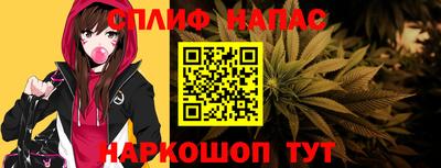 молекула духа Новозыбков