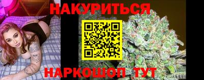 молекула духа Новозыбков