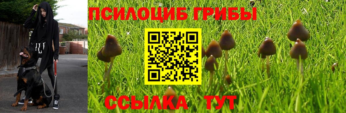 Сибай  Галлюциногенные грибы ЛСД  Вход с VPN 